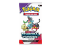 Pokémon Temporal Forces: Fun Pack